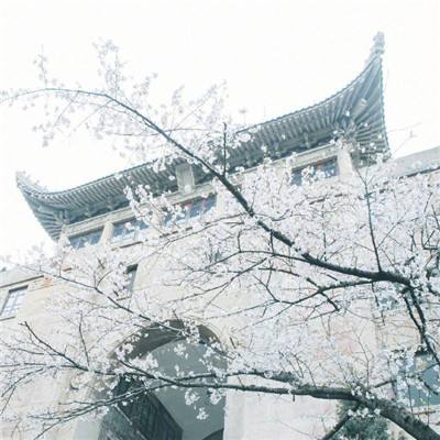 （文化中国行）从本体保护到价值阐释 北京长城保护迎“新生”